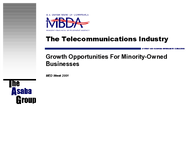 The Telecommunication Industry  Growth Opportunities for Minority Businesses