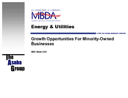 Energy  Utilities Industry  Growth Opportunities for Minority Businesses
