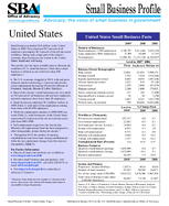 Small Business Economy 2011