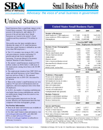Small Business Profiles 2012