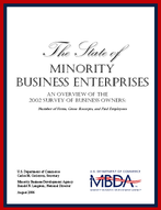The State of Minority Business Enterprises 2002 Data
